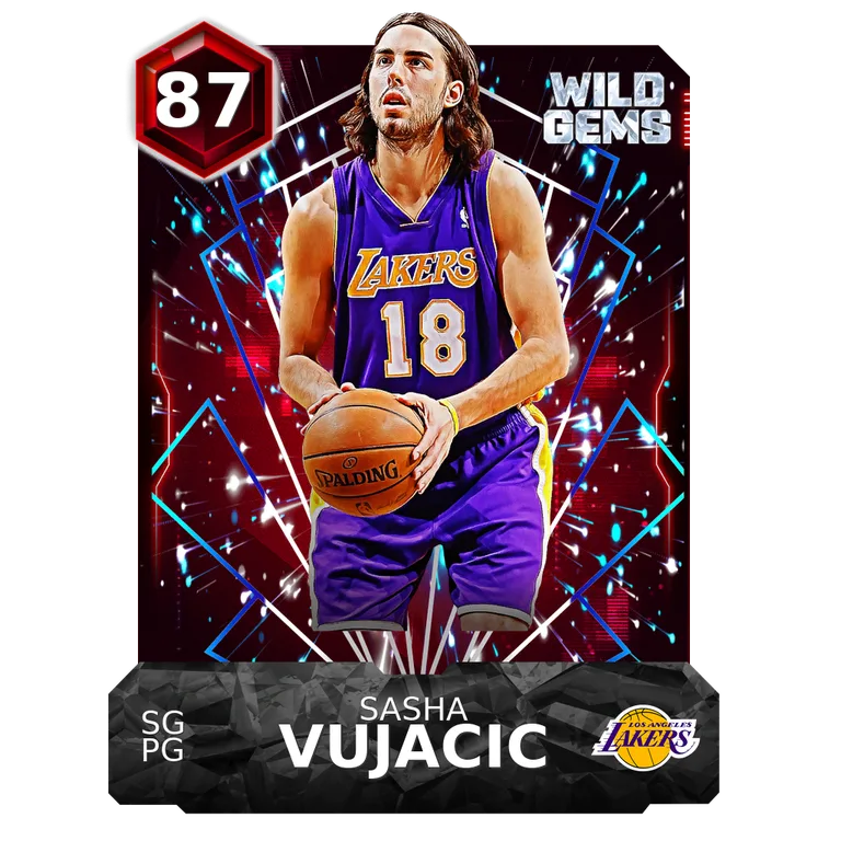 Sasha Vujacic