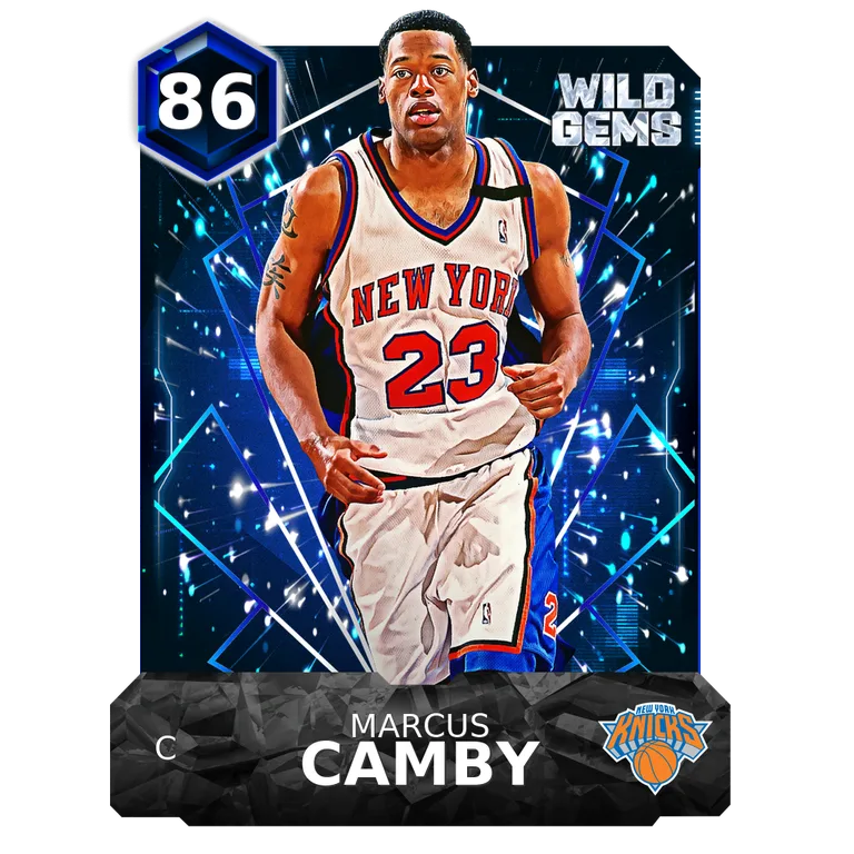 Marcus Camby