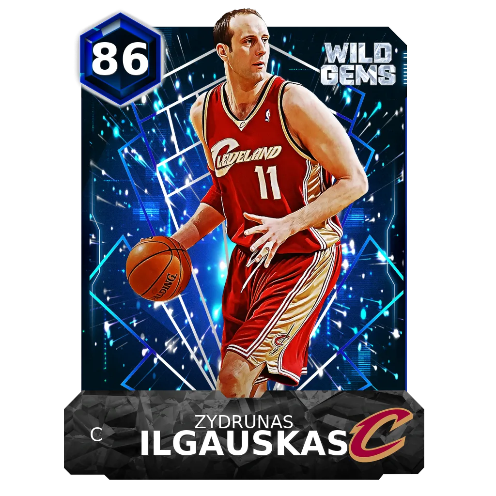 Zydrunas Ilgauskas