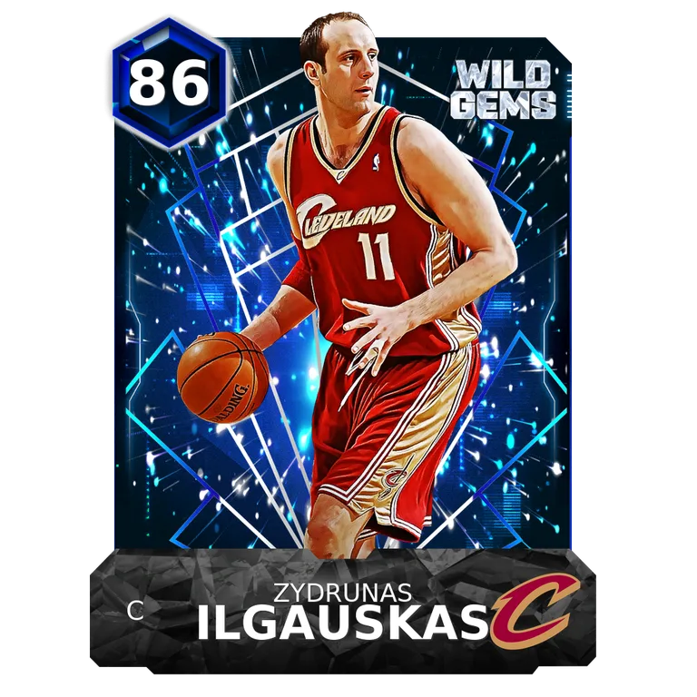 Zydrunas Ilgauskas