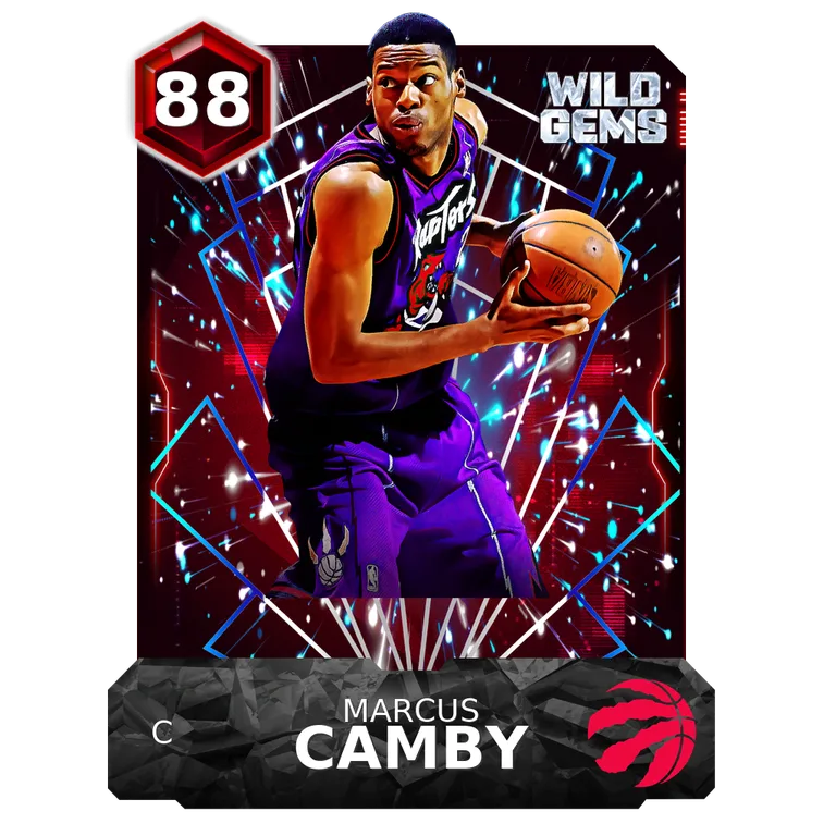 Marcus Camby