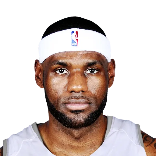 LeBron James portrait