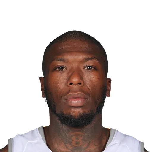 Nate Robinson portrait