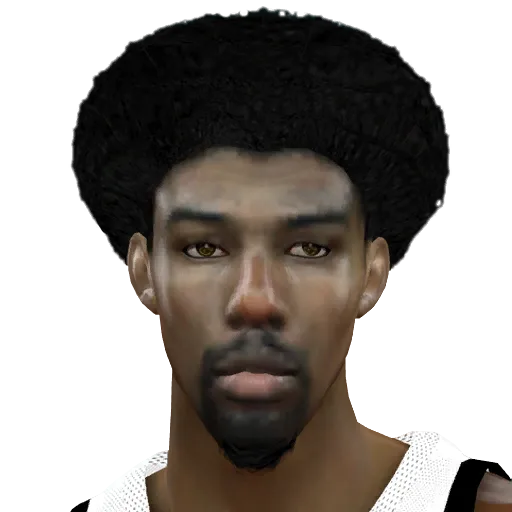 Julius Erving portrait