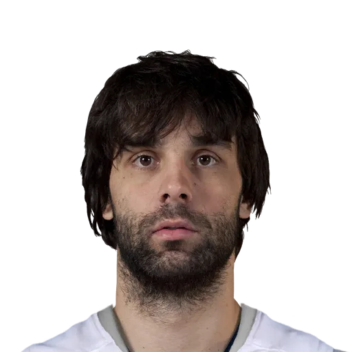 Milos Teodosic portrait