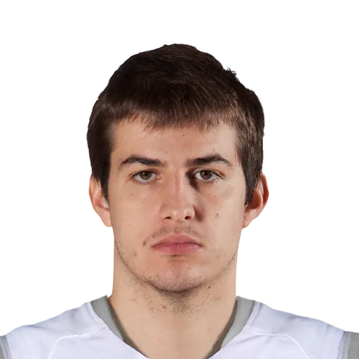 Nemanja Bjelica portrait