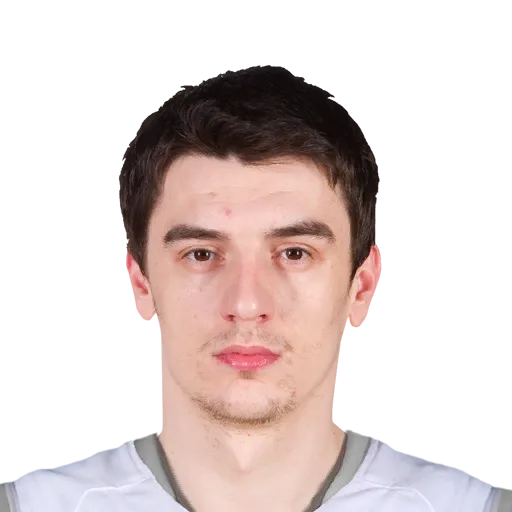 Emir Preldzic portrait