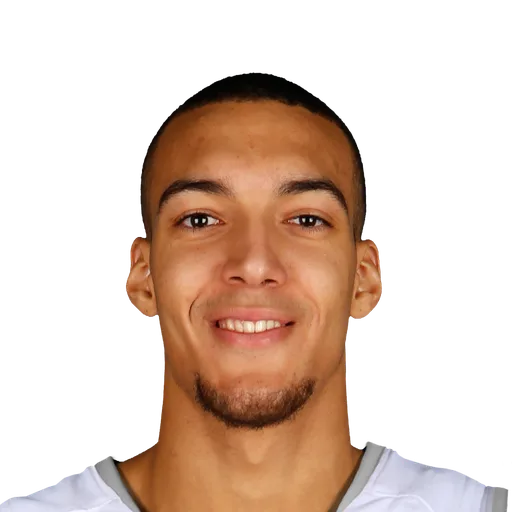 Rudy Gobert portrait