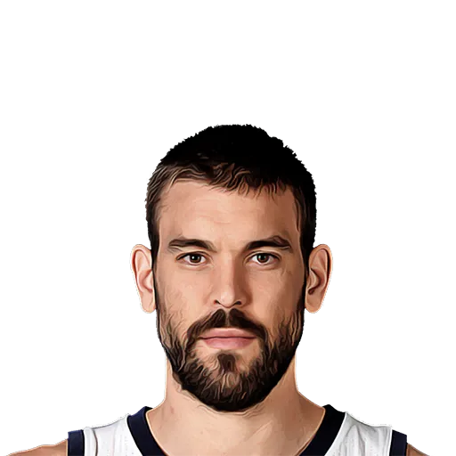 Marc Gasol portrait