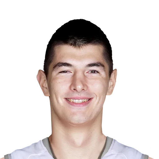 Luka Mitrovic portrait