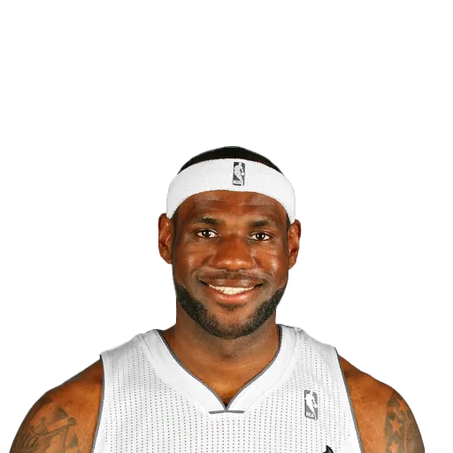 LeBron James portrait
