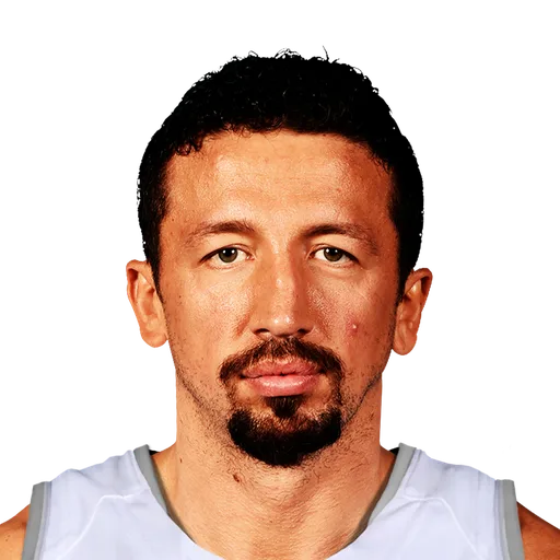 Hedo Turkoglu portrait