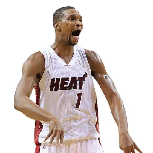 Chris Bosh portrait