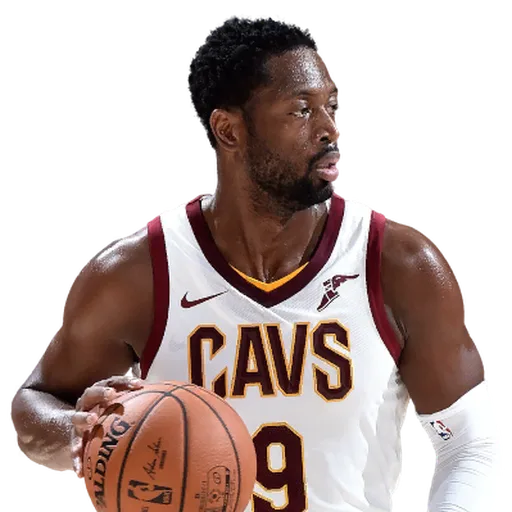 Dwyane Wade portrait