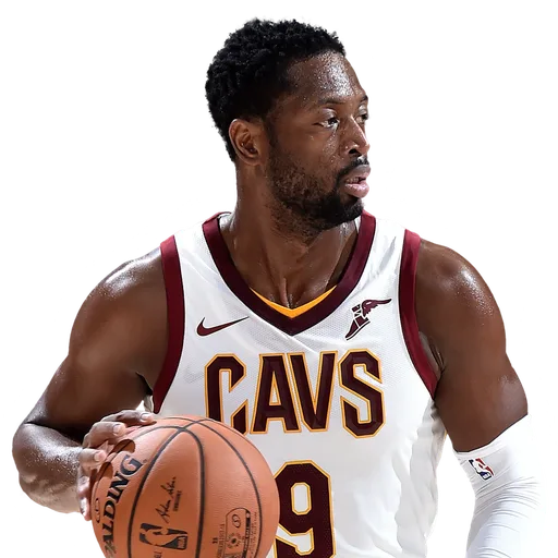 Dwyane Wade portrait