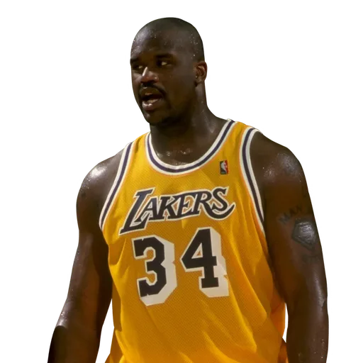 Shaquille O'Neal portrait