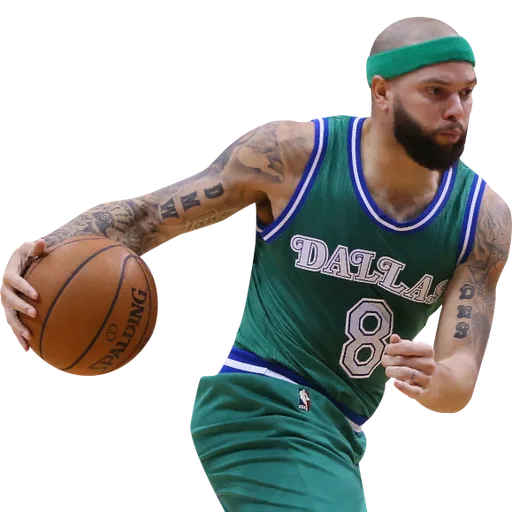 Deron Williams portrait