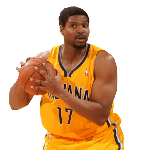 Andrew Bynum portrait