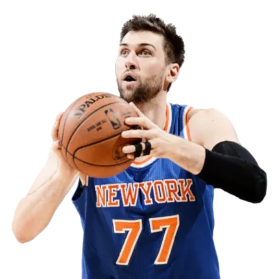 Andrea Bargnani portrait
