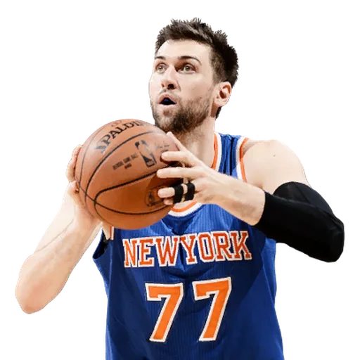 Andrea Bargnani portrait