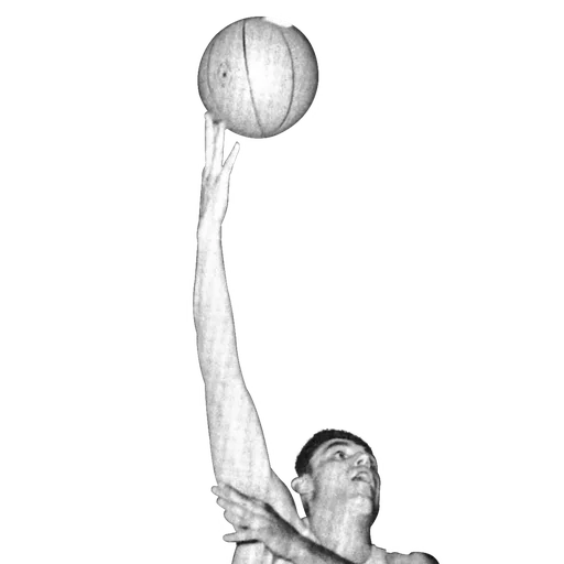 Dave Debusschere portrait