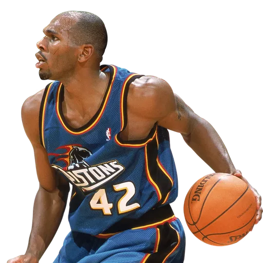 Jerry Stackhouse portrait