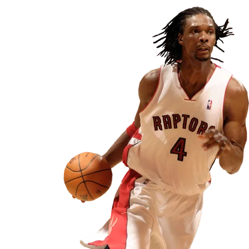 Chris Bosh portrait