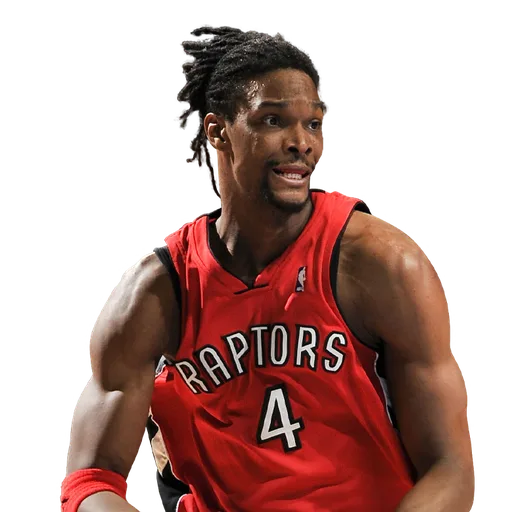 Chris Bosh portrait