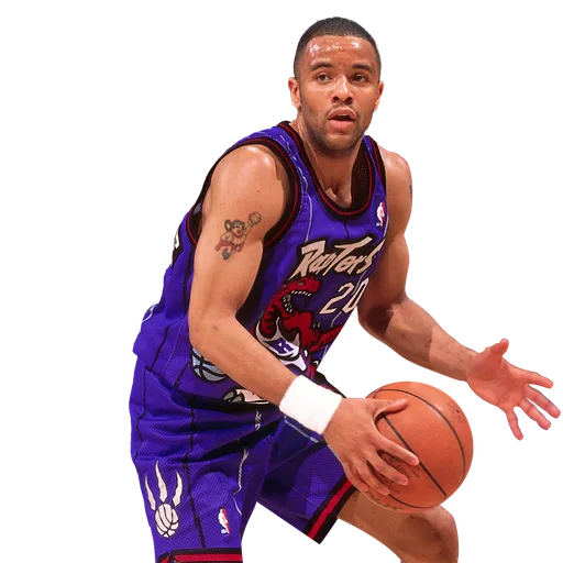 Damon Stoudamire portrait