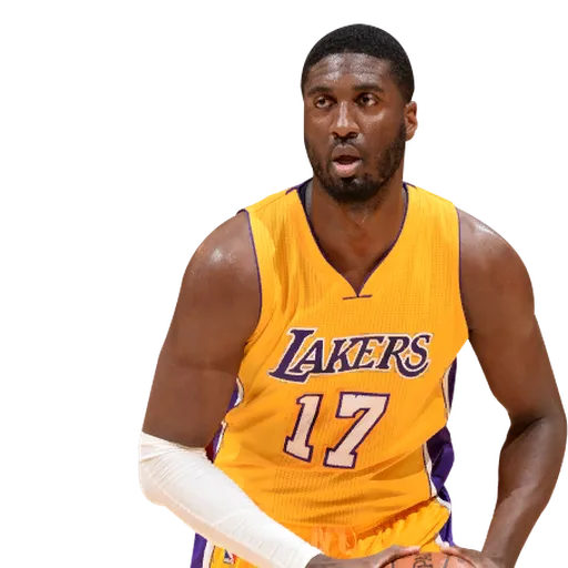 Roy Hibbert portrait