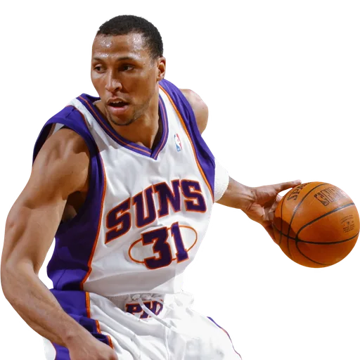 Shawn Marion portrait