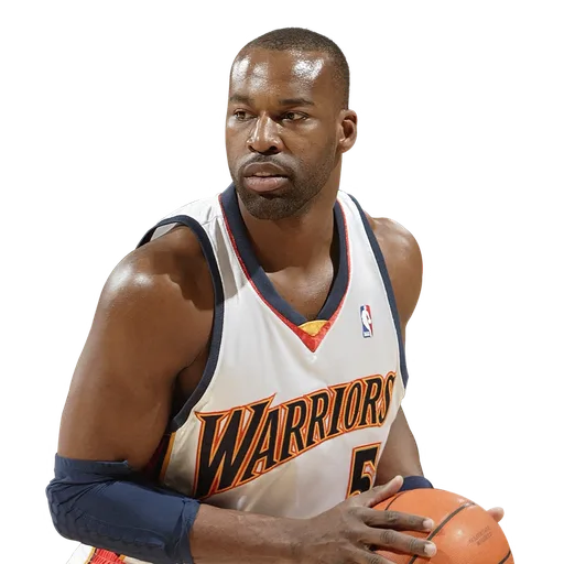 Baron Davis portrait