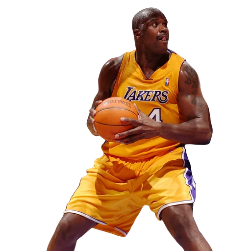 Shaquille O'Neal portrait