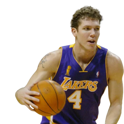 Luke Walton portrait