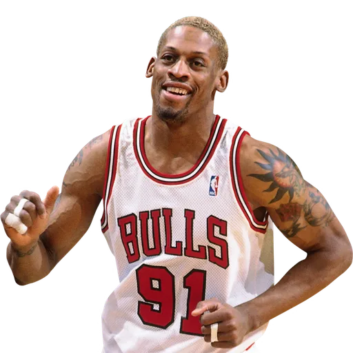 Dennis Rodman portrait