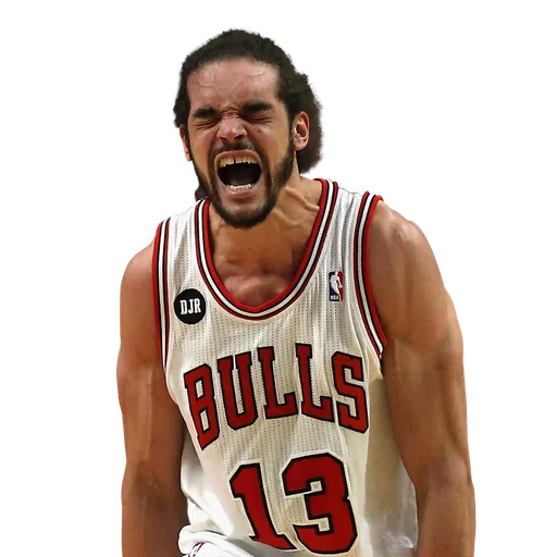Joakim Noah portrait