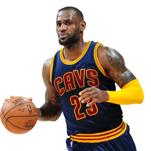 LeBron James portrait