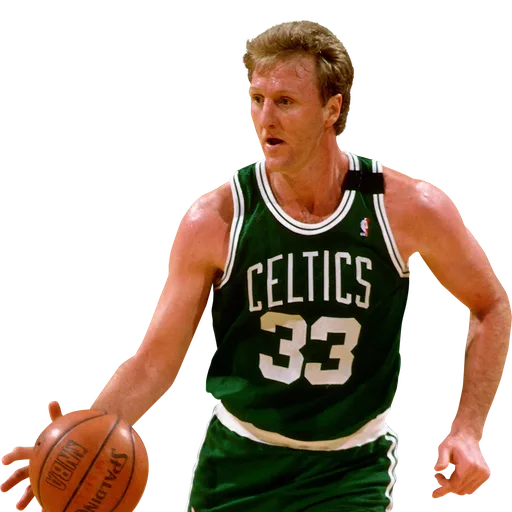 Larry Bird portrait