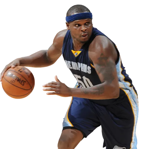 Zach Randolph portrait