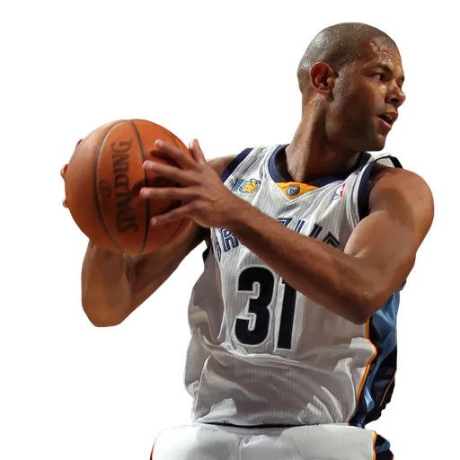 Shane Battier portrait
