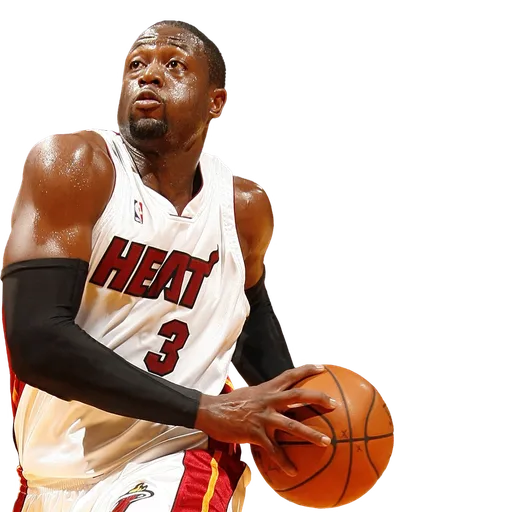 Dwyane Wade portrait