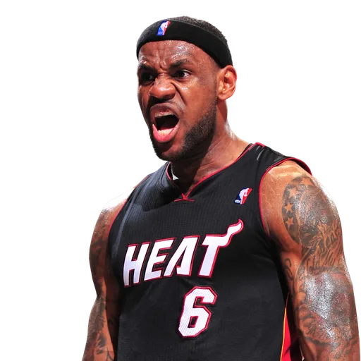 LeBron James portrait
