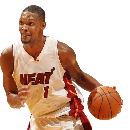Chris Bosh portrait
