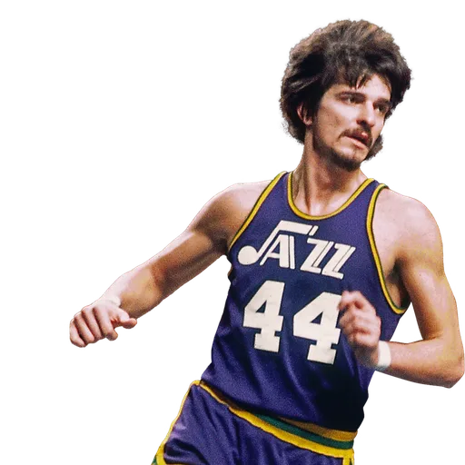 Pete Maravich portrait