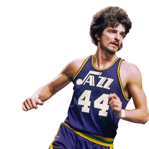 Pete Maravich portrait