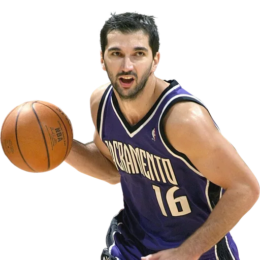 Peja Stojakovic portrait