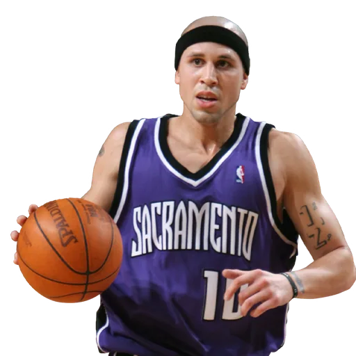 Mike Bibby portrait