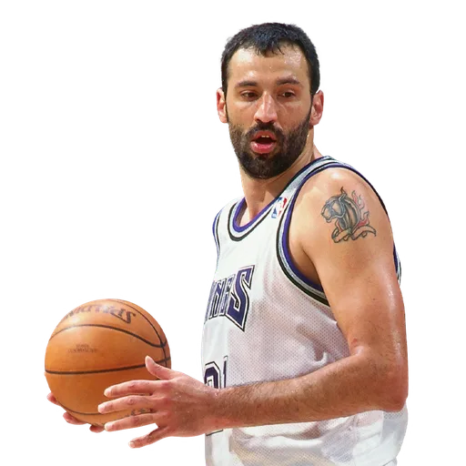 Vlade Divac portrait