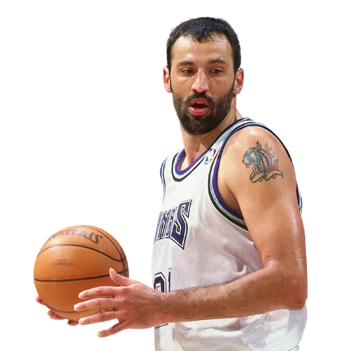 Vlade Divac portrait