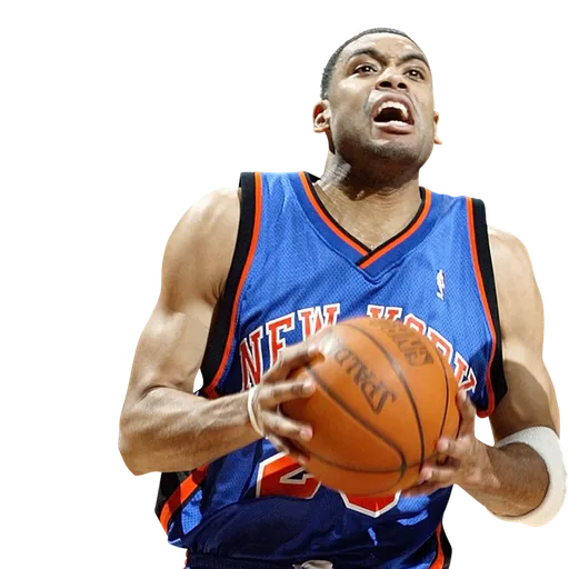 Allan Houston portrait